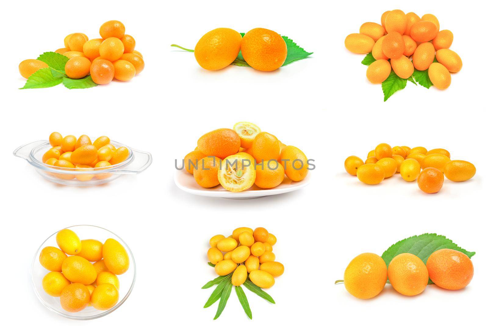 Set of kumquats isolated on a white background with clipping path
