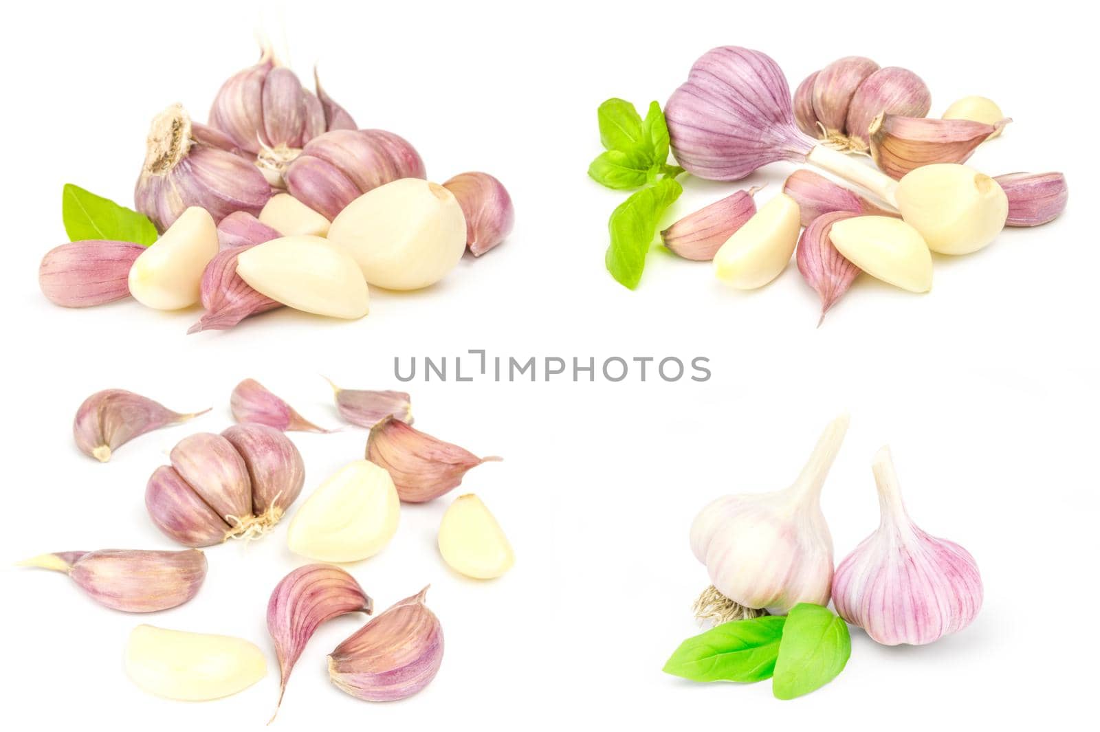 Collage of Clove garlic isolated over a white background