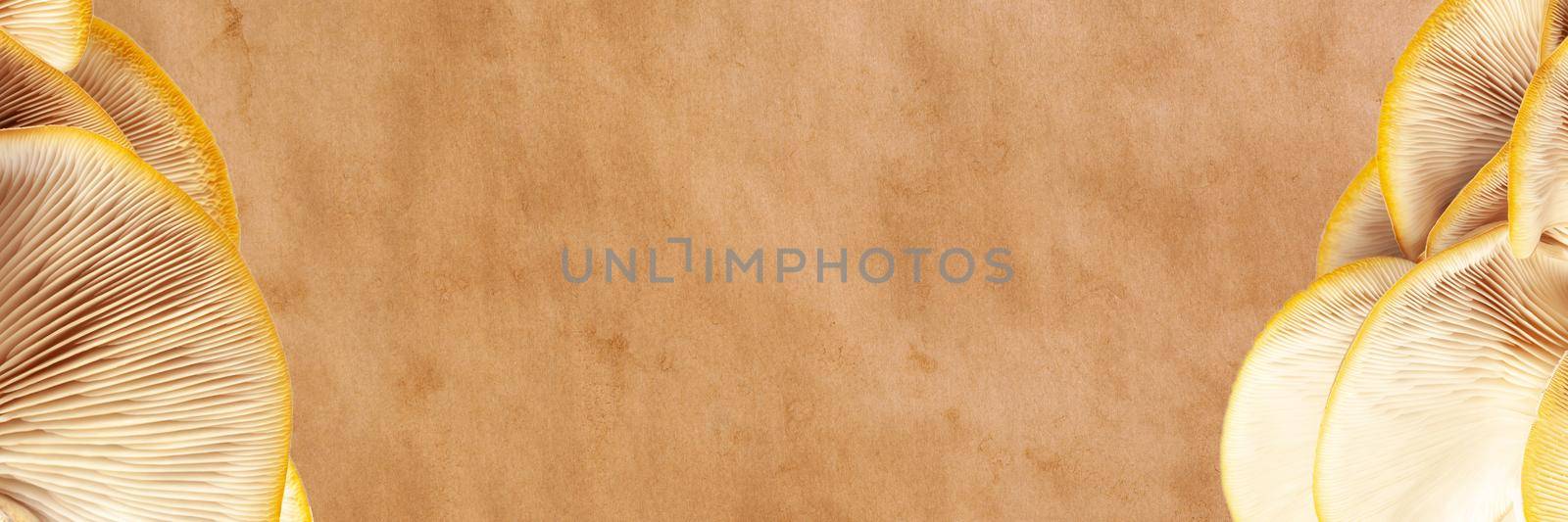 Oyster mushrooms on kraft paper background, banner, concept