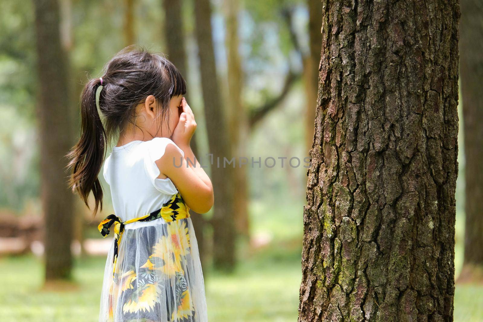 Smiling little girl covering her eyes with both hands, playing hide and seek standing beside a large tree. Cute little girl having fun outdoors in the park. by TEERASAK