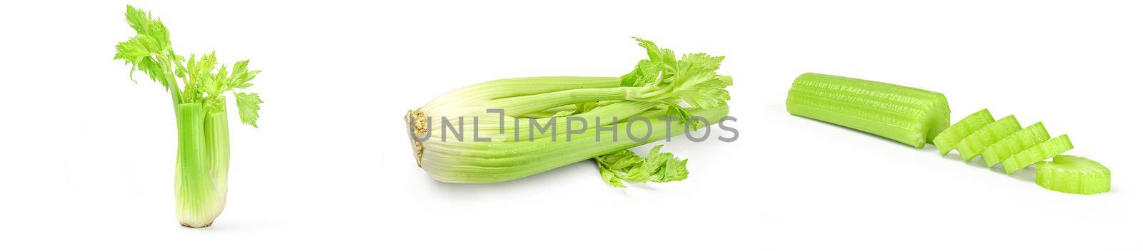 Collage of celery isolated on white