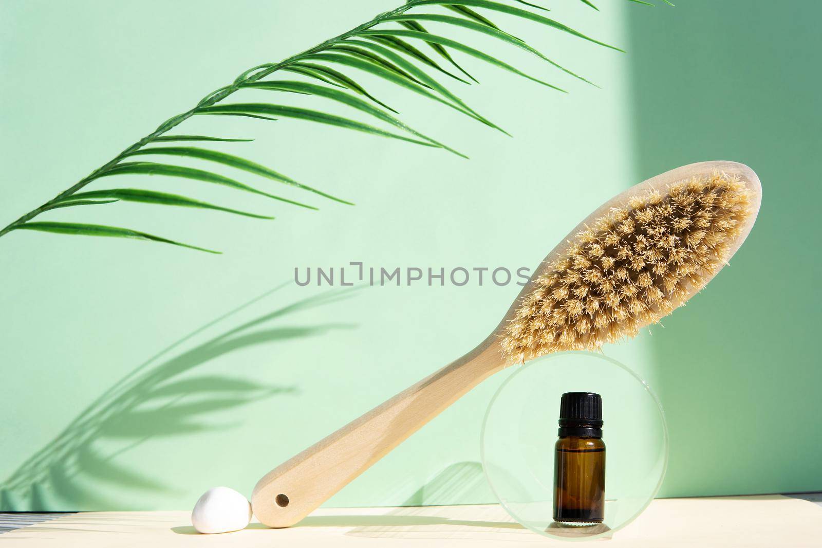 Cactus bristle brush for anti-cellulite massage and massage oil on a green background. The concept of body care. Spa, eco-beauty treatments, beauty and fashion concept.