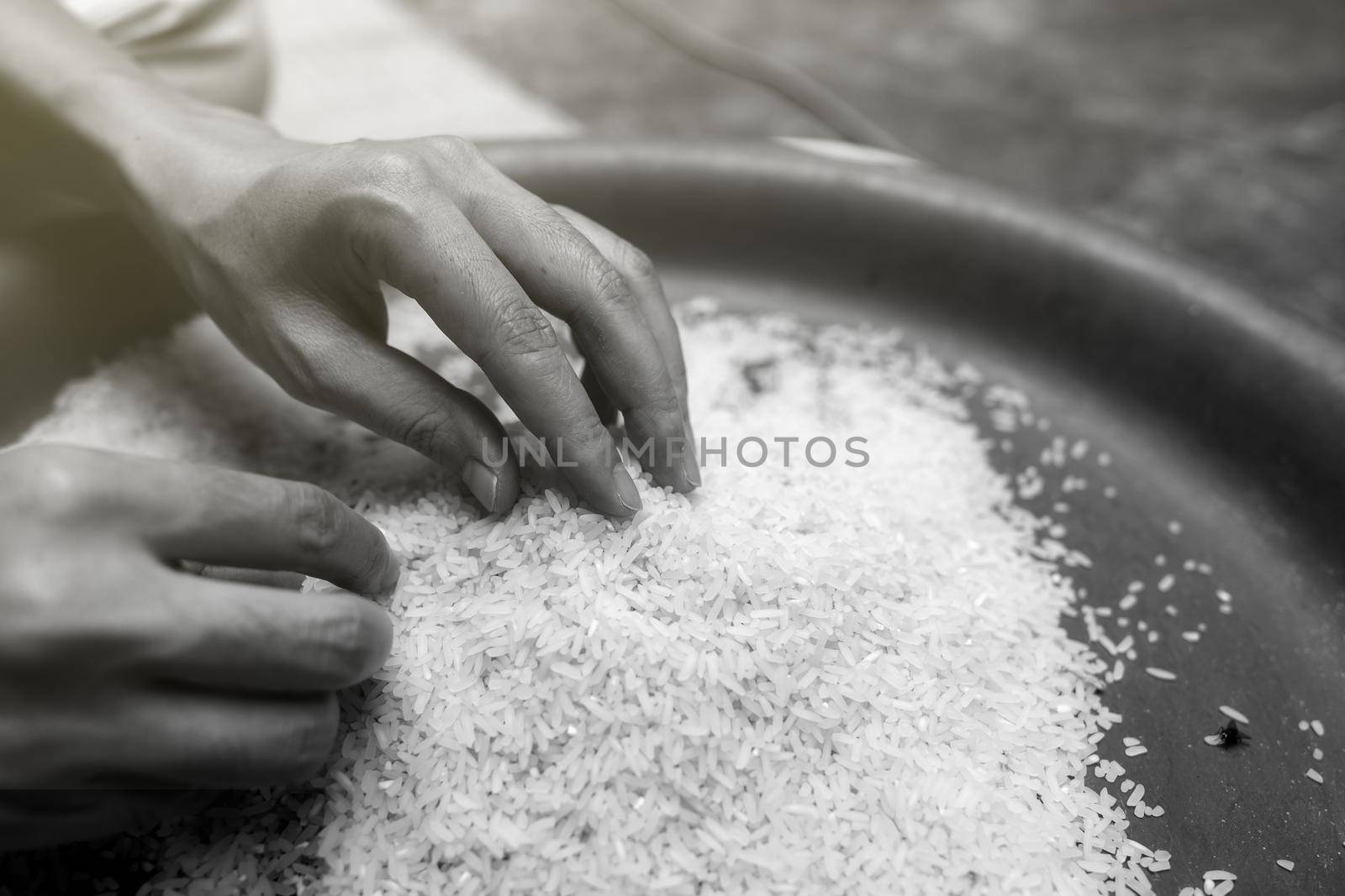 Global food crisis concept. Woman hand holding rice in plastic tray. Uncooked milled white rice. Poor and poverty concept. Human catastrophe in global food crisis effects of climate change and war.