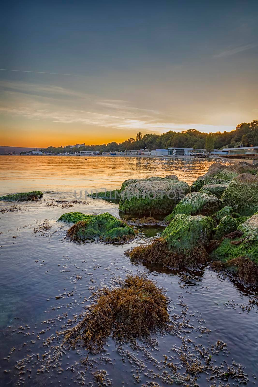 Beauty sea sunset with colorful moss over the rocks. Smooth long exposure of waves by EdVal