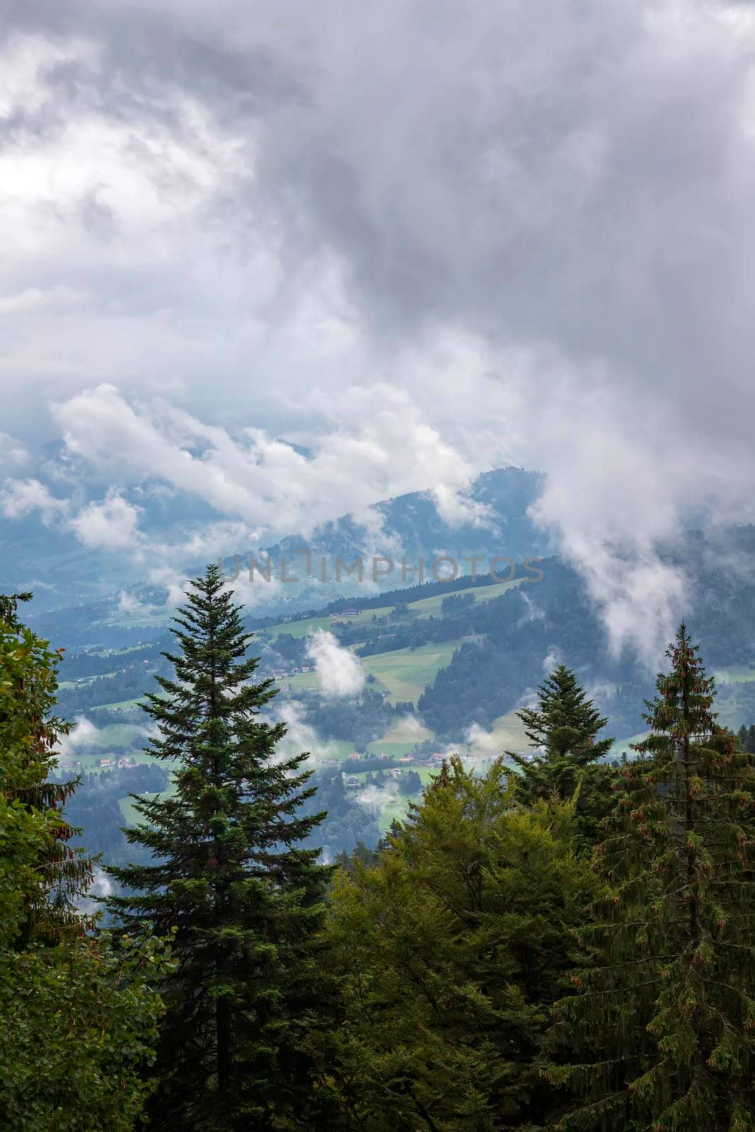 beauty landscape with vapor over the mountain. Vertical view by EdVal