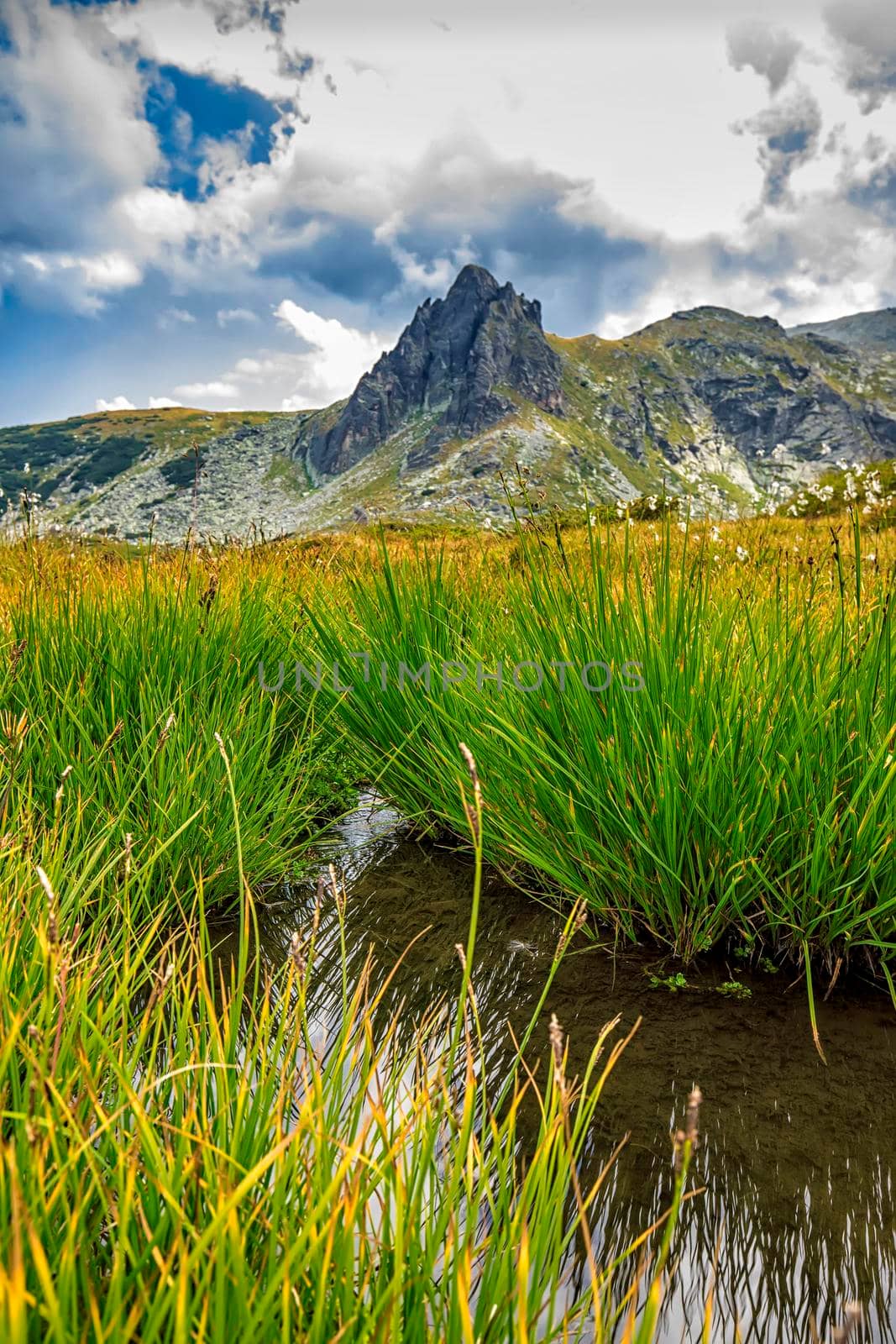 beauty day landscape on the mountain with grass, water and hill by EdVal