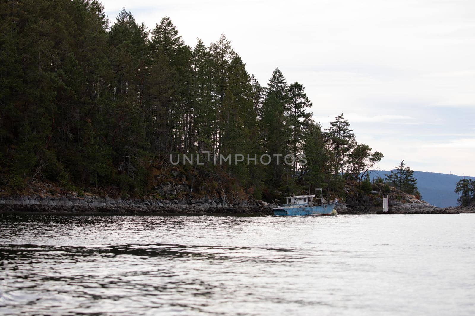 An old blue boat along British Columbia's treed coastline with soft clouds in the sky by Granchinho