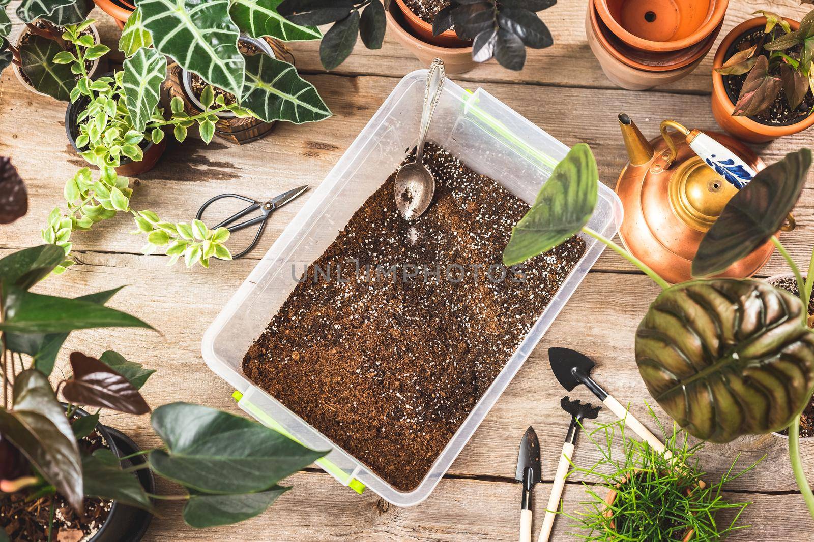 Top view of container with soil mix for plants by Syvanych