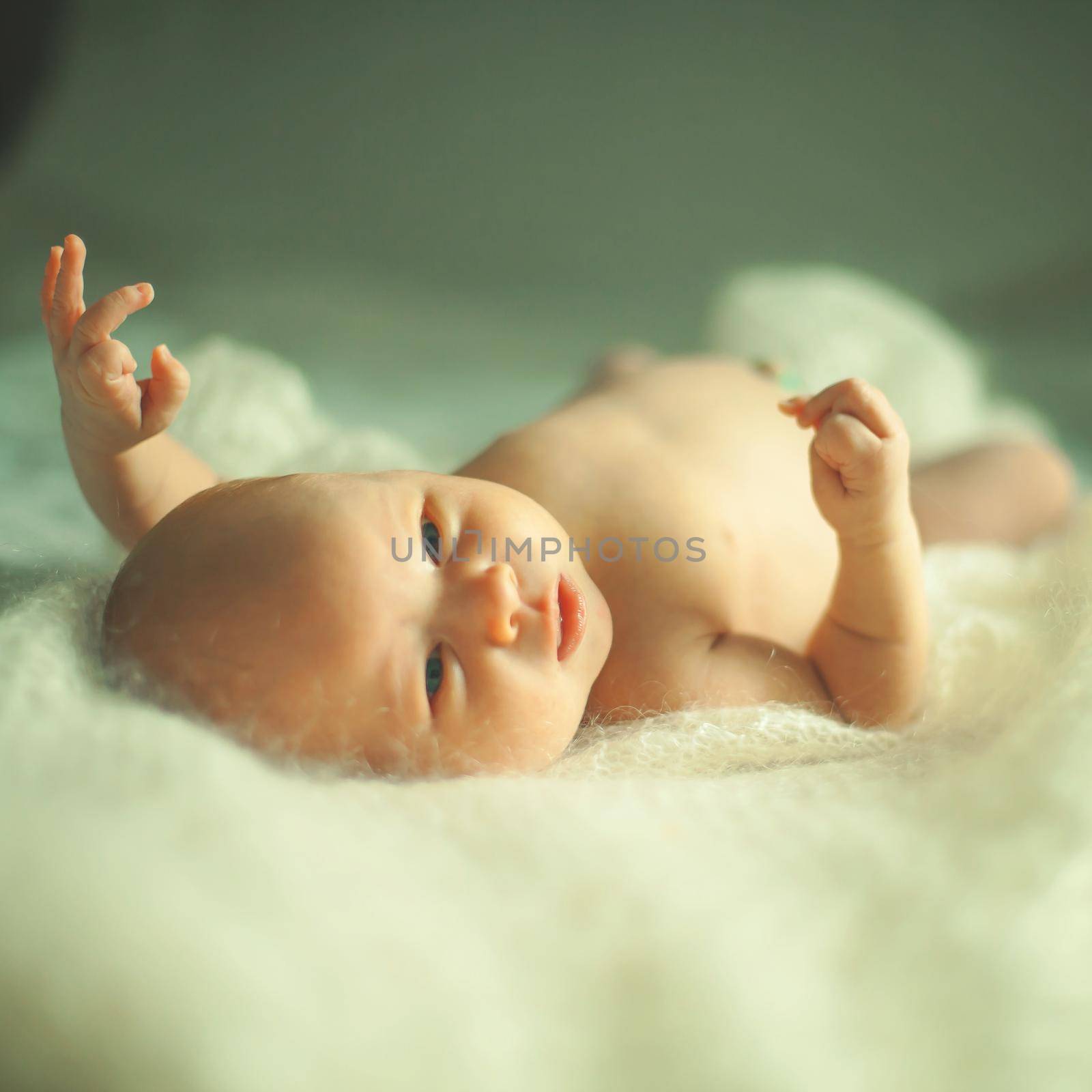 portrait of a newborn baby in the parents ' bed.the photo has a empty space for your text