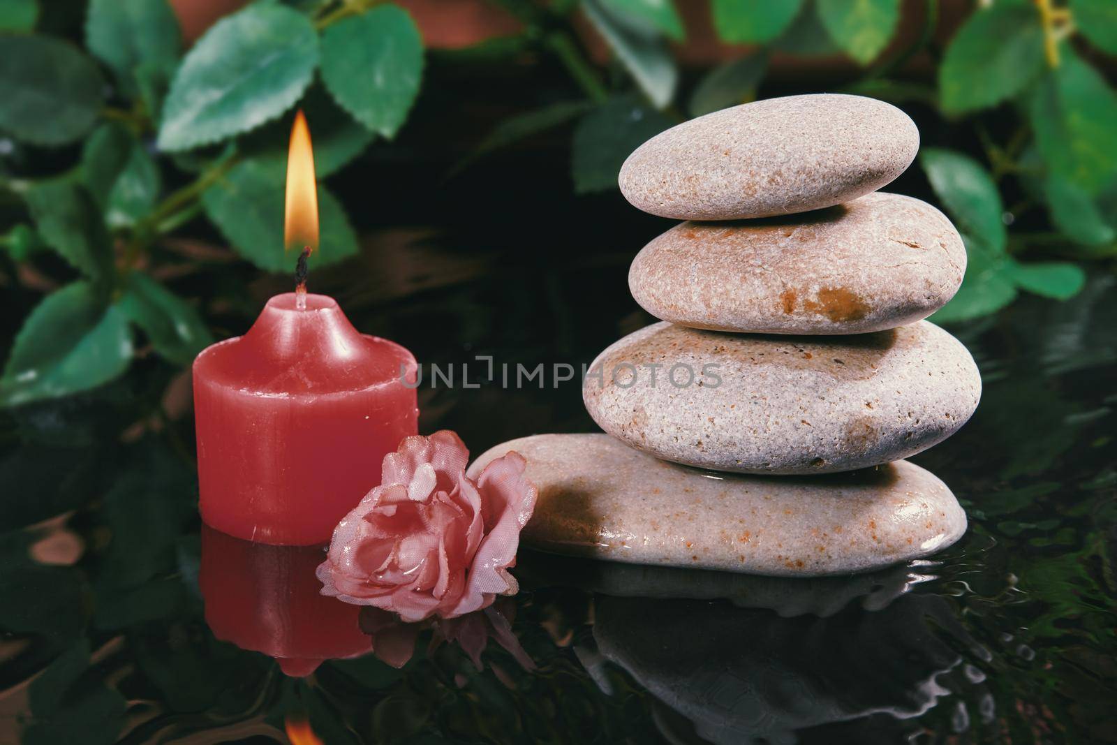 Still Life with Zen Stone, Candle and Plants in Water. Harmony, Relax and Health Care. Traditional Oriental Spa Concept by MarinaFrost