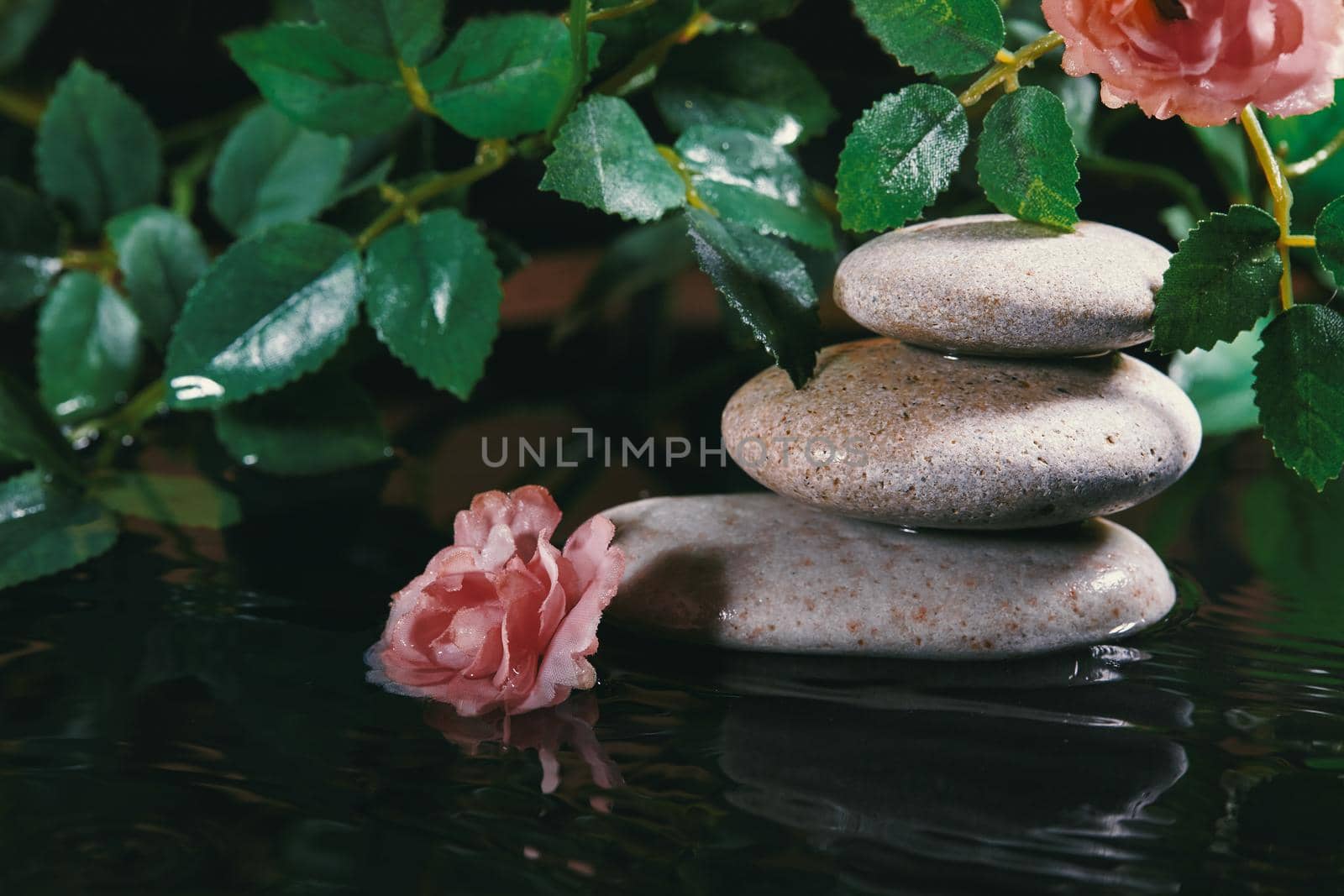 Spa Still Life with Zen Stone, Candle and Plants in Silence Serinity Water. Harmony, Relax and Health Care. Traditional Oriental Spa Concept.