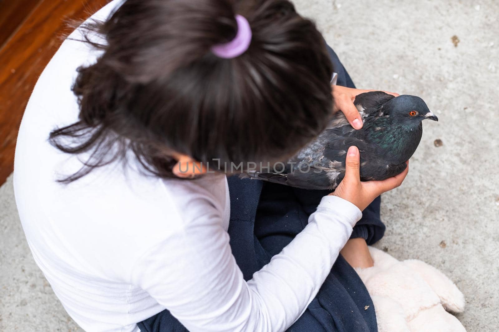 Little girl hugging her pet which is a little pigeon