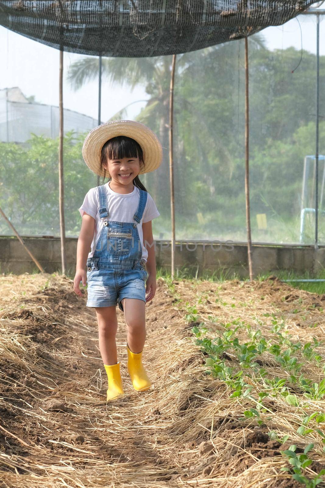 Little girl wearing a hat helps her mother in the garden, a little gardener. Cute girl playing in the vegetable garden.