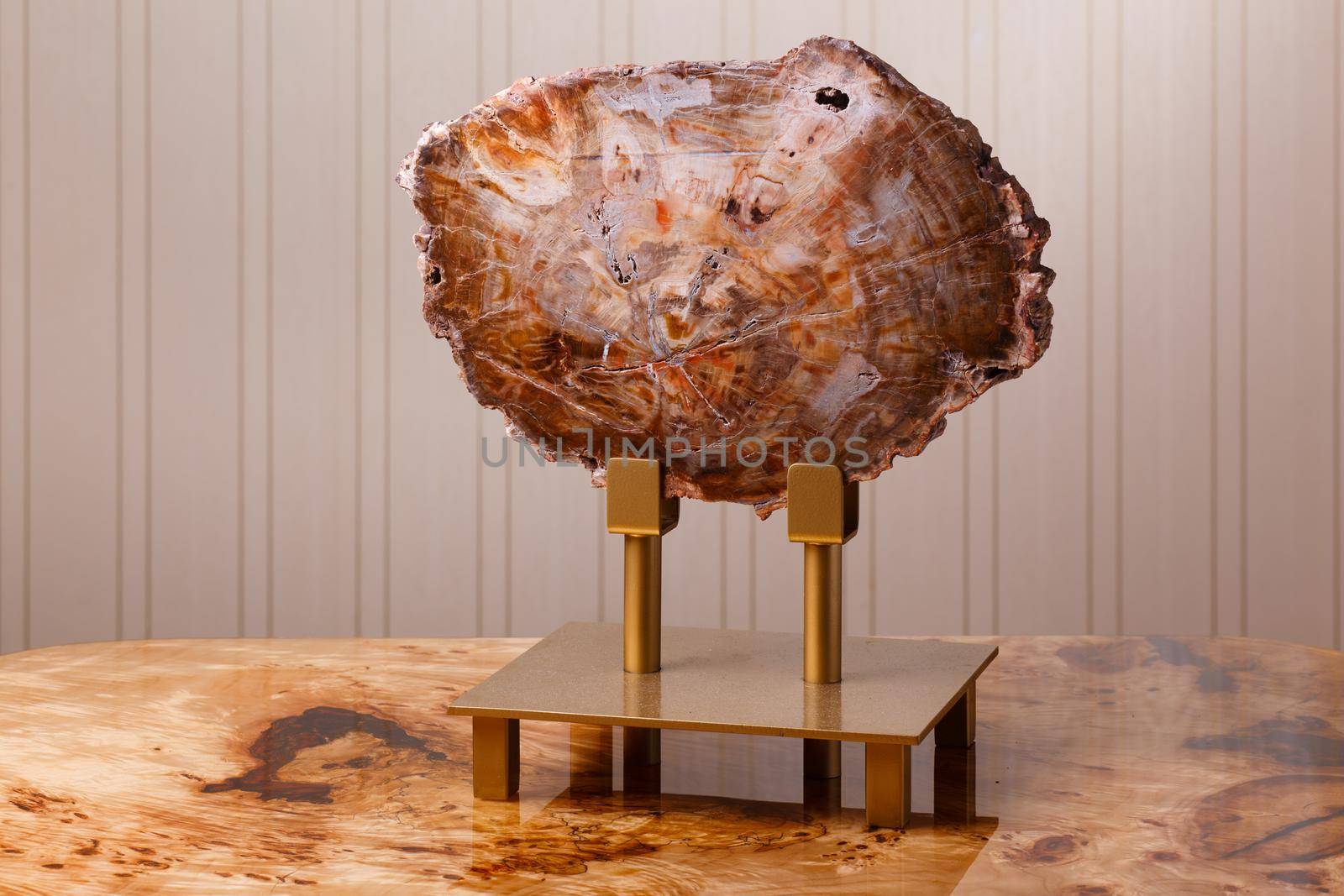 A section of ancient petrified wood, polished and impregnated with epoxy resin, is used to decorate the interior of a home or office.