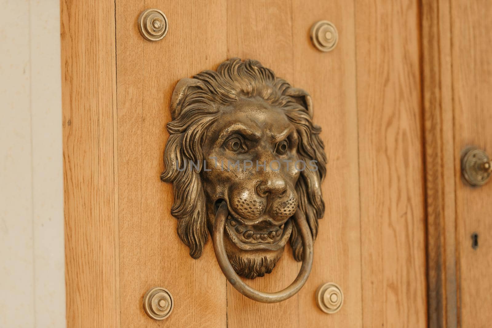 The golden lion on the wooden door. Door knocker in the Lazienki Park or Royal Baths Park