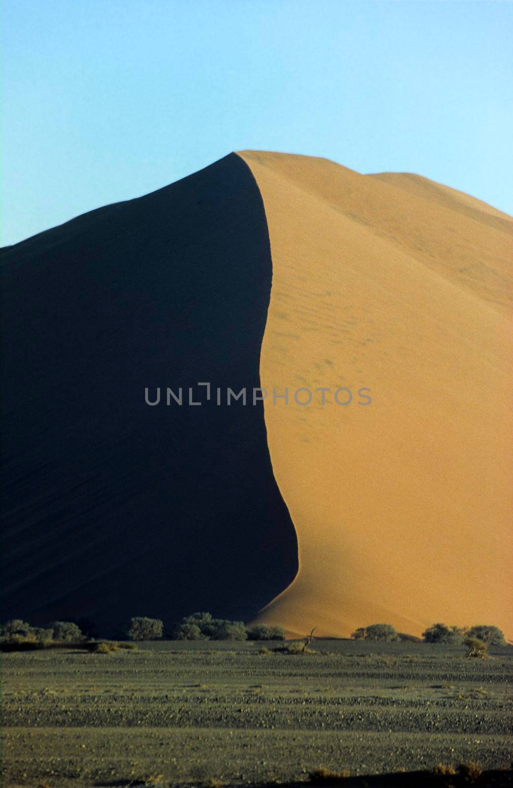 Panoramic view of red sand dunes in famous Namib Desert in Namibia