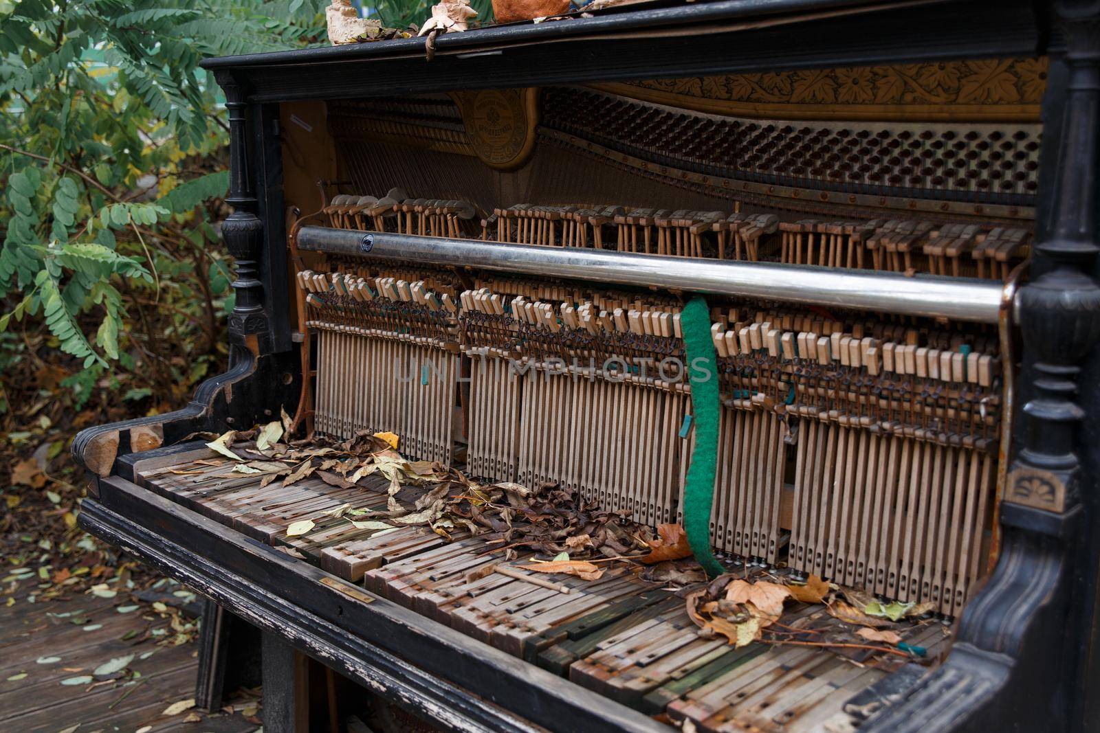 The insides of an old ruined piano standing outdoors