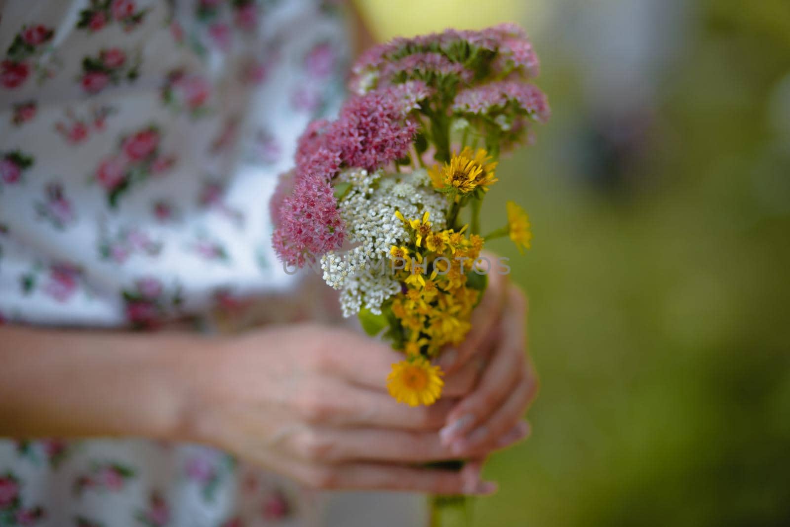 A small bouquet of wild flowers in the hands of a girl by deandy