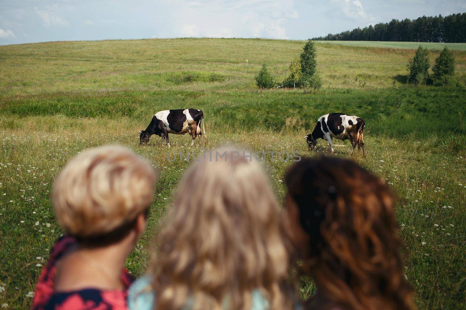 Three women look at cows grazing in a green field by deandy