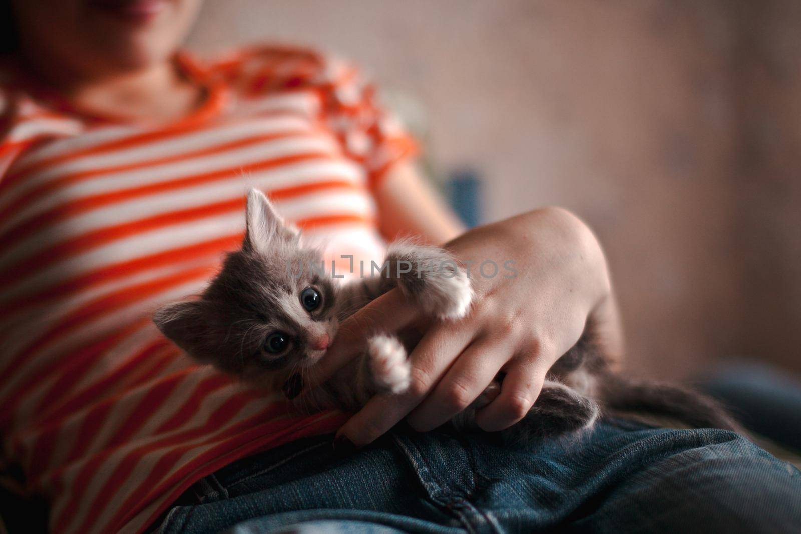 A grey kitten trying to bite a girl's hand