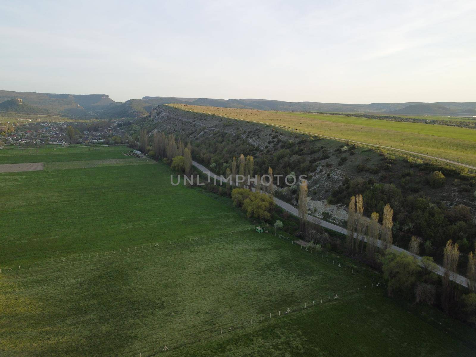 Flying over a small herd of cattle cows walking uniformly down farm road on the hill. Black, brown and spotted cows. Top down aerial view of the countryside on a sping sunset. Idyllic rural landscape