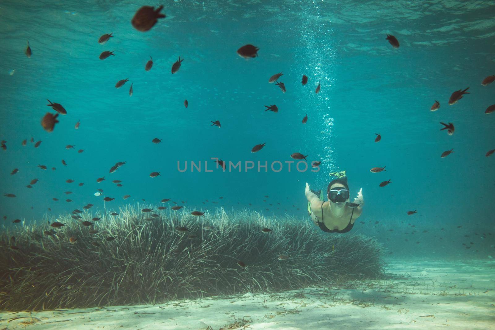 Enjoing In Underwater World by MilanMarkovic78