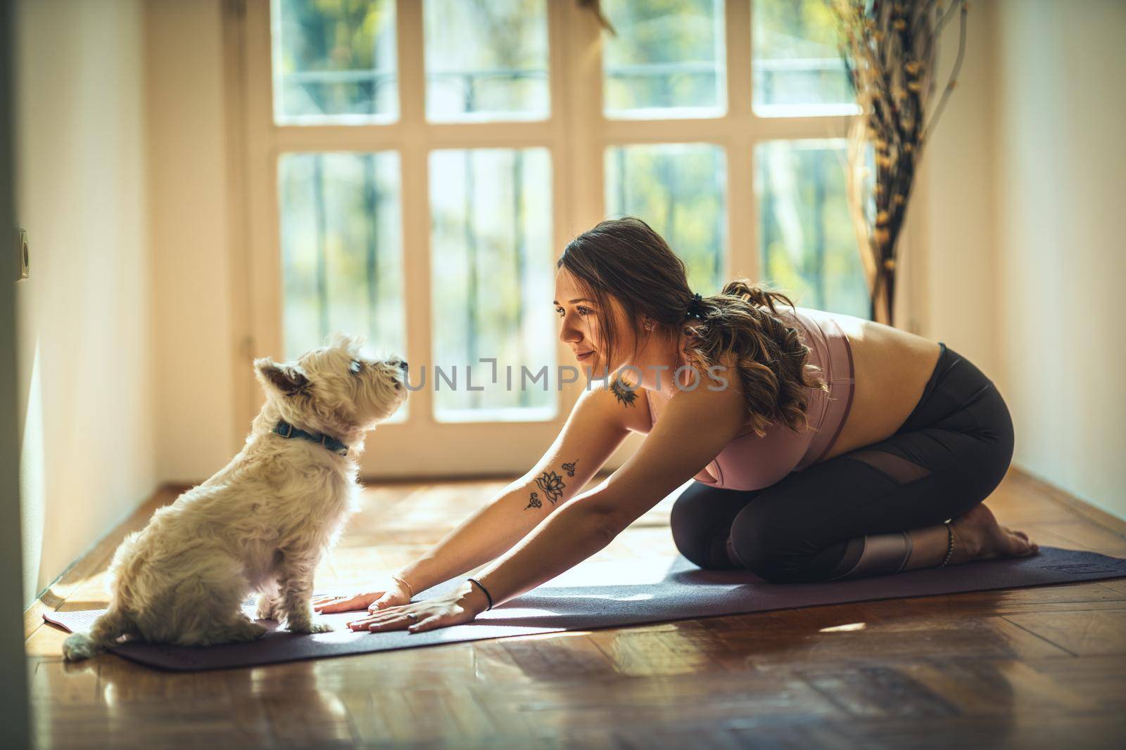 Young woman is relaxing with her sweetie dog pet during coronavirus pandemic doing yoga meditation in the living room at home. She is meditating on floor mat in morning sunshine.