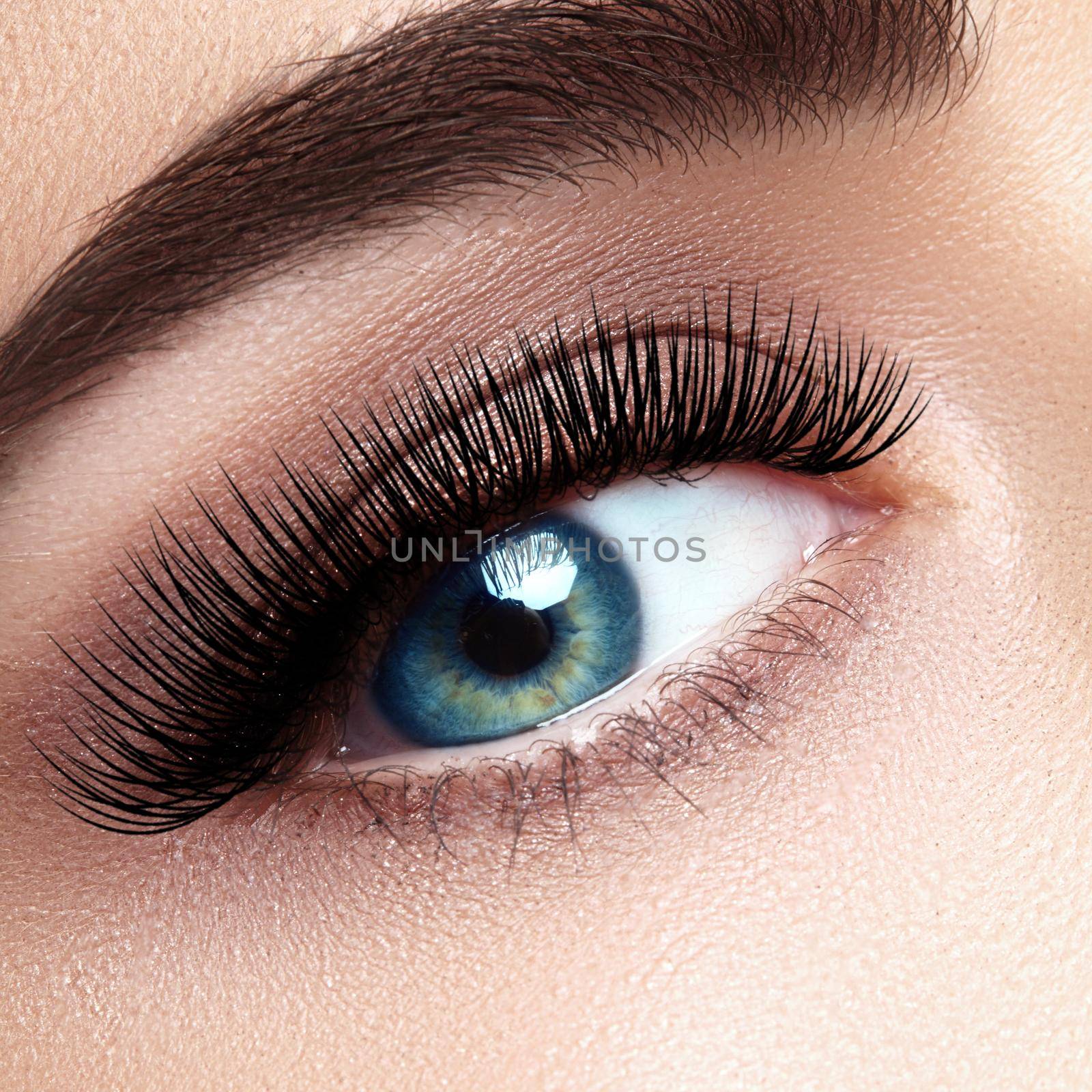 Beautiful macro shot of female eye with extreme long eyelashes and black liner makeup. Perfect shape make-up and long lashes. Cosmetics and make-up. Closeup macro shot of fashion eyes visage