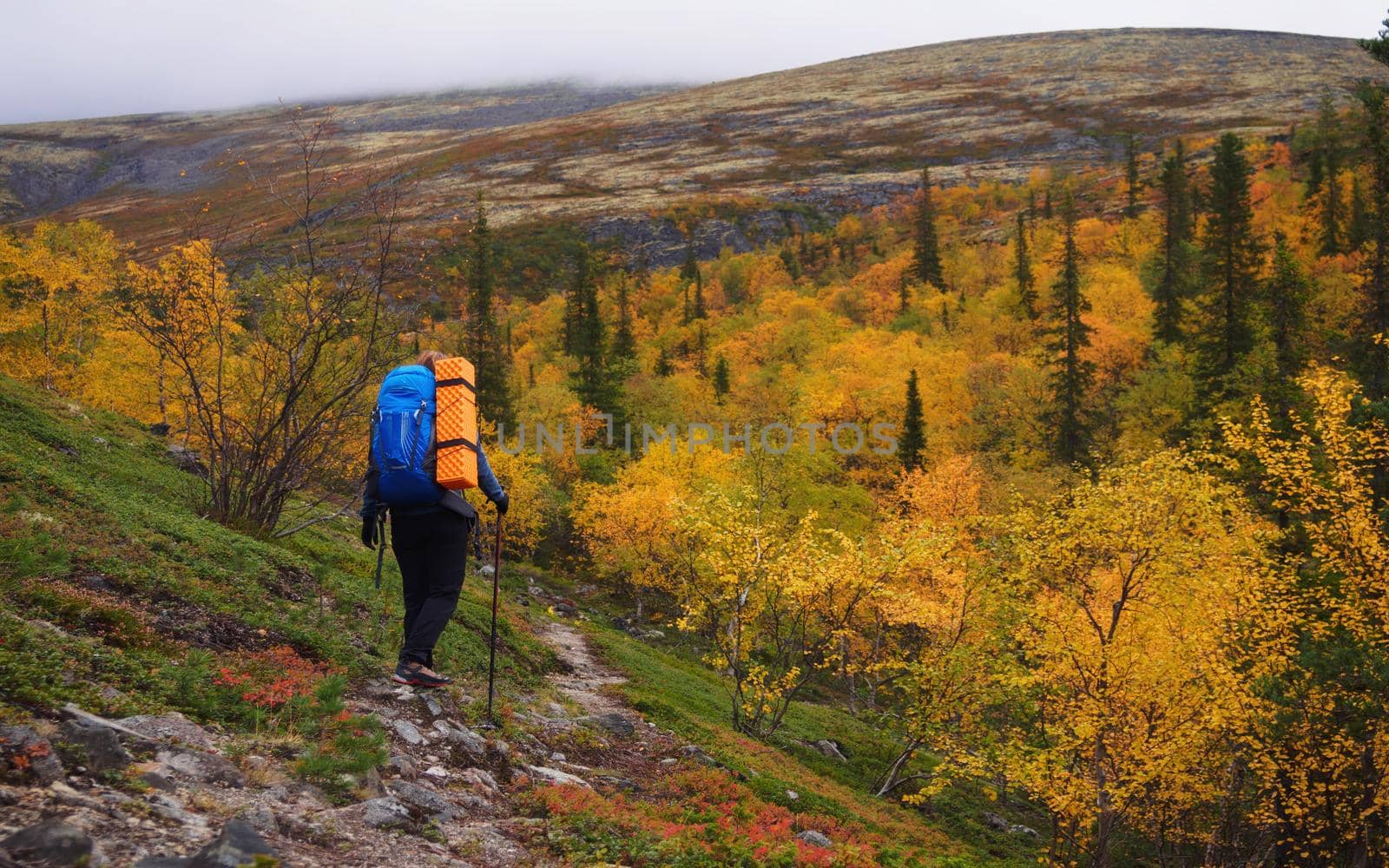 A young woman with a backpack and trekking poles in the Khibiny mountains. The concept of a healthy and active lifestyle. Girl on the background of nature mountains. photo