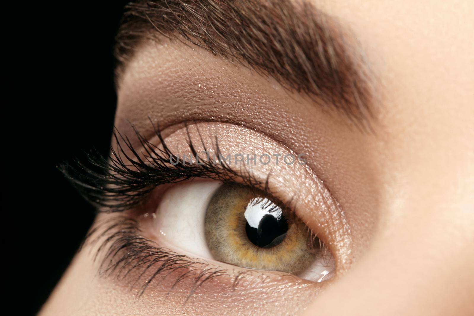 Close-up macro of beautiful female eye with perfect shape eyebrows. Clean skin, fashion naturel make-up. Good vision.