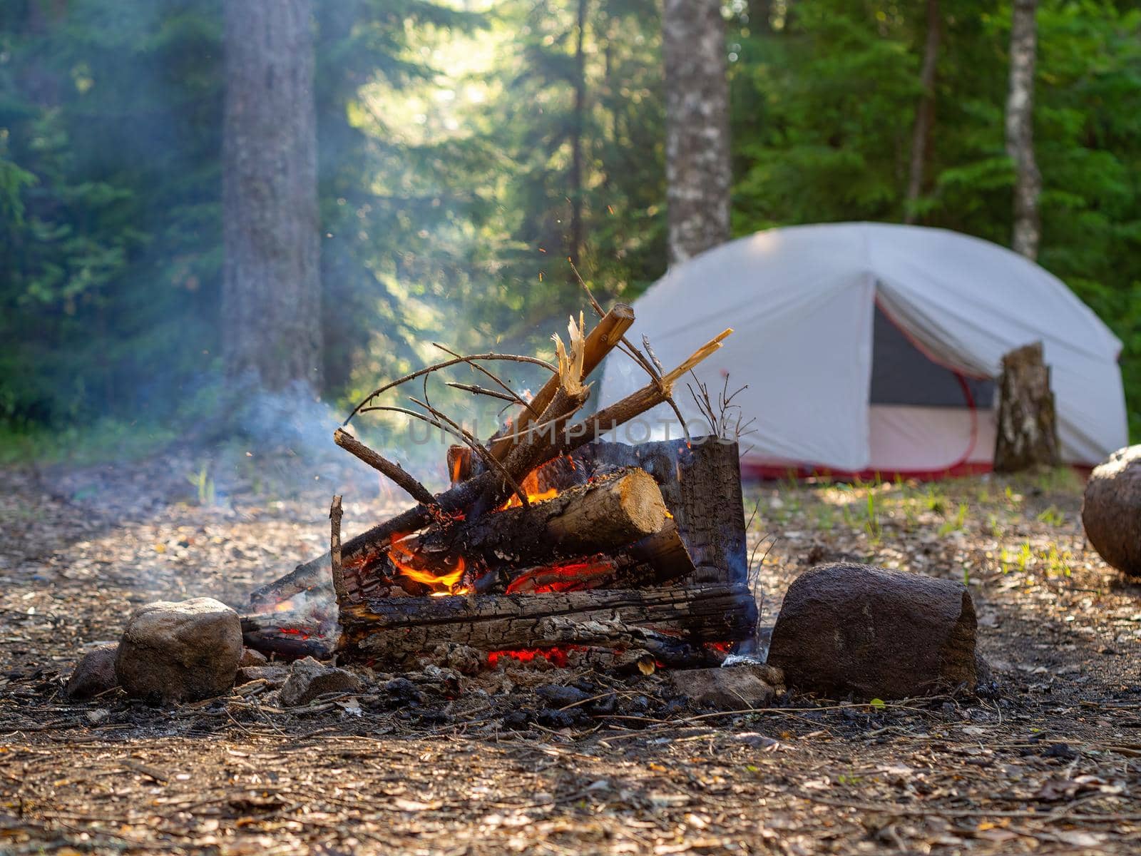 Burning campfire, with camping tent in the background, deep inside the forest, at sunset. High quality photo