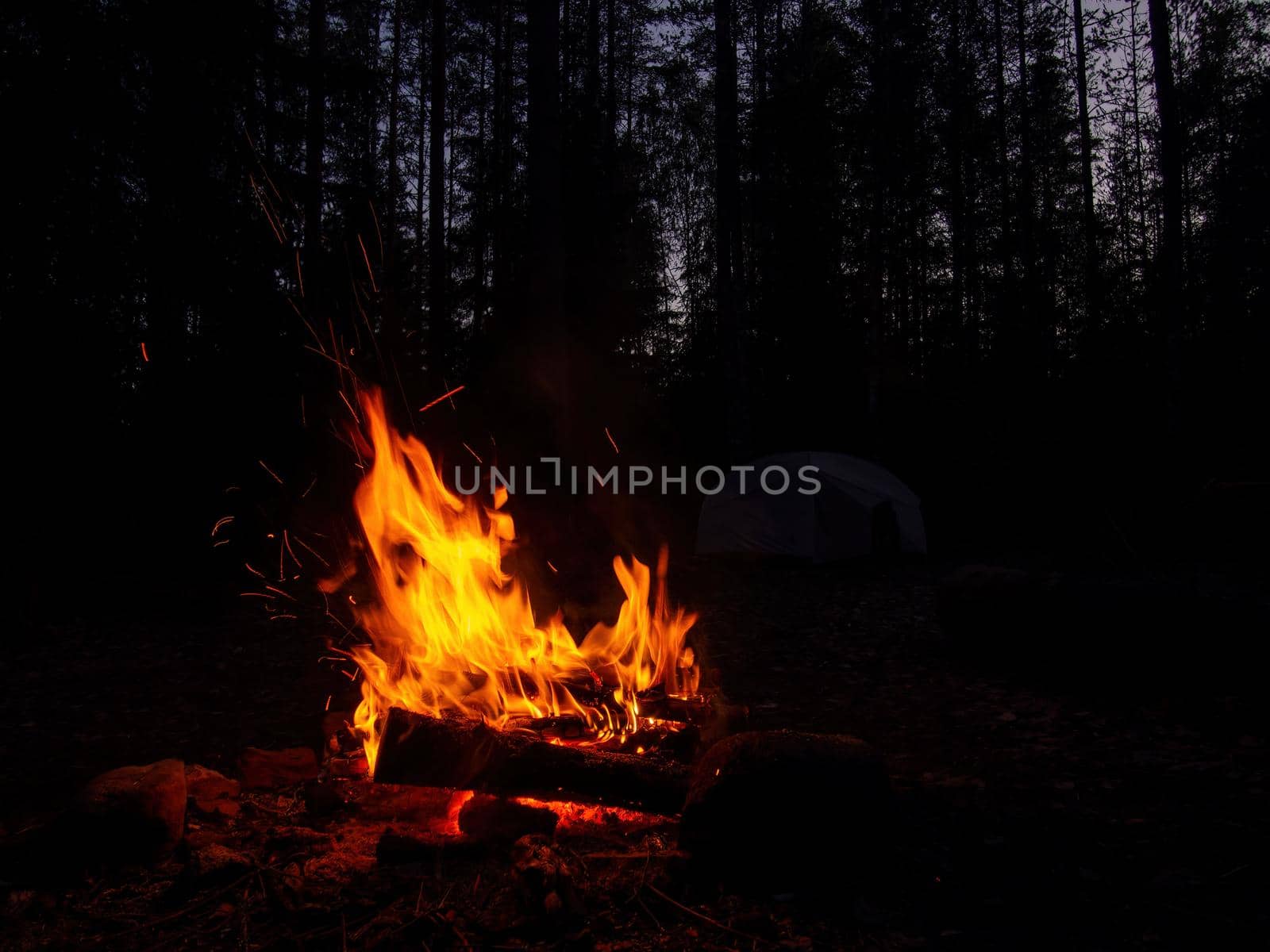 Abstract flame of fire from a campfire on a black background. photo