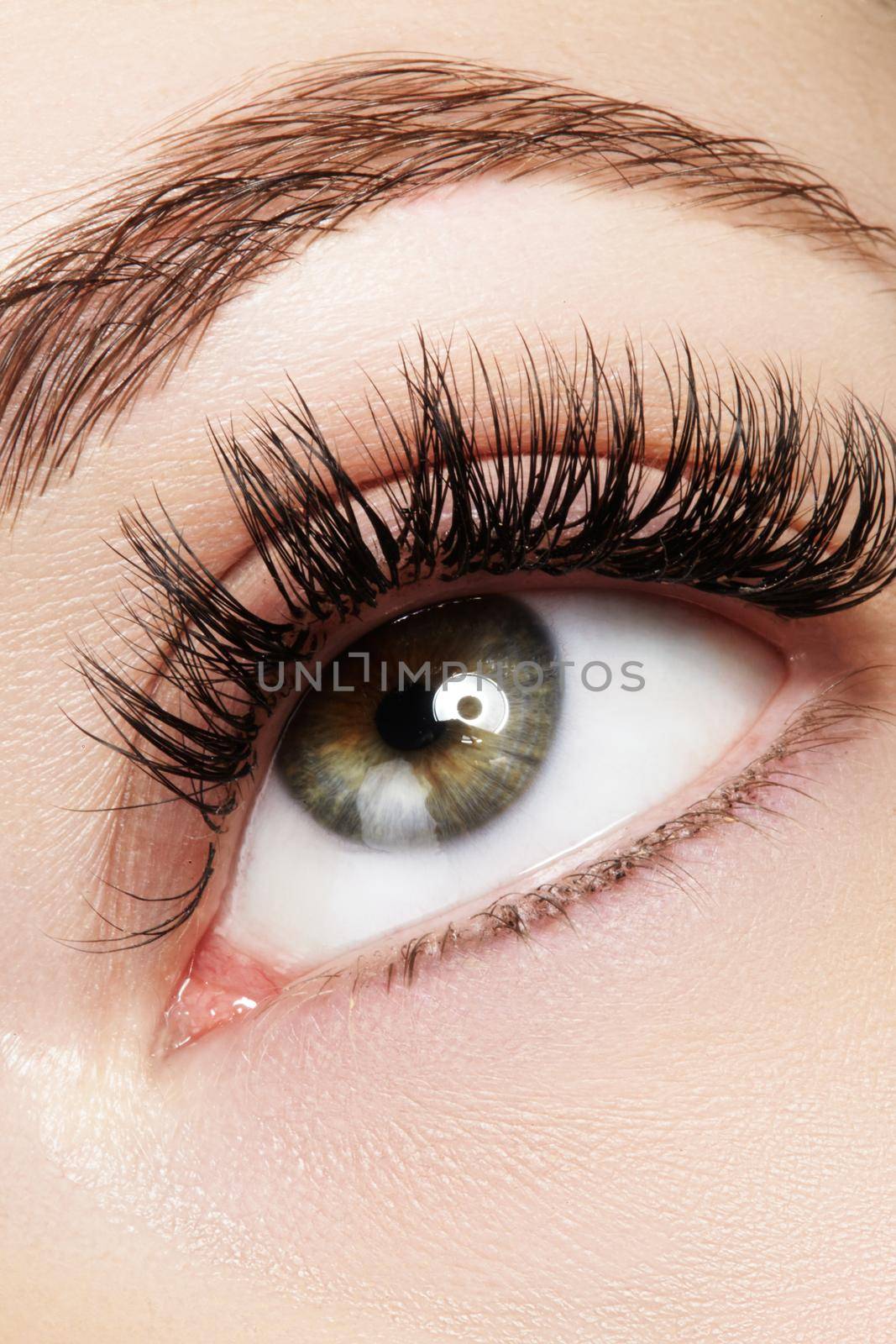 Beautiful macro shot of female eye with extreme long eyelashes and black liner makeup. Perfect shape make-up and long lashes. Cosmetics and make-up. Closeup macro shot of fashion eyes visage