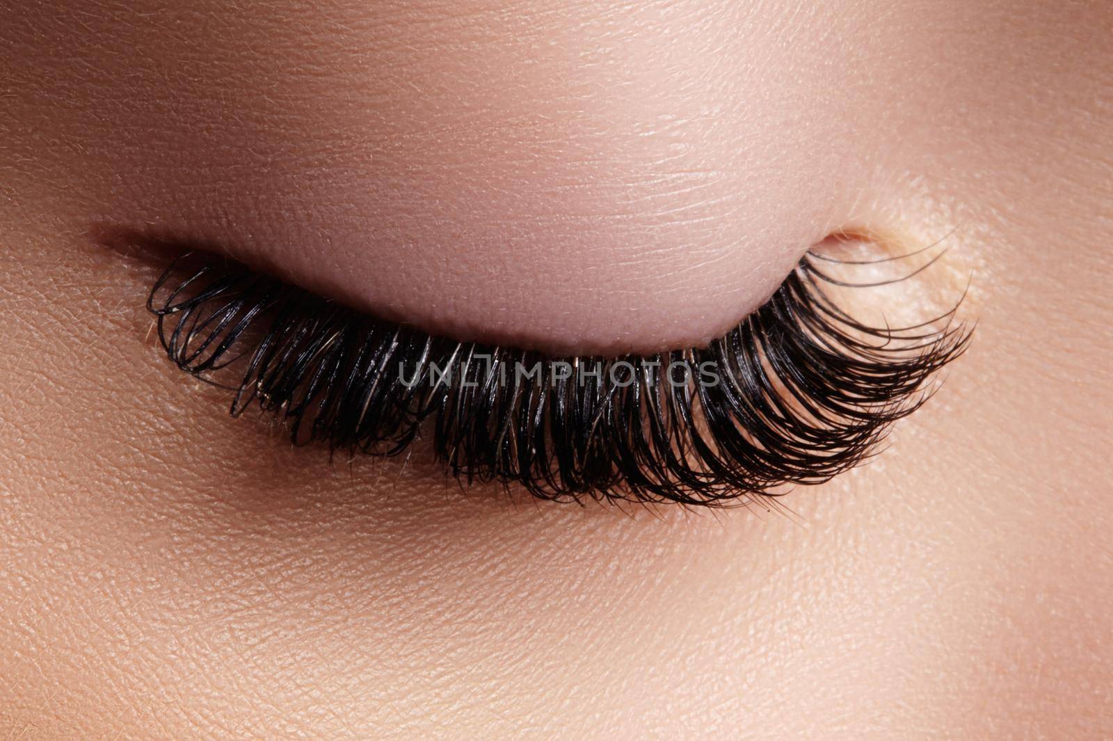 Beautiful macro shot of female eye with extreme long eyelashes. Perfect shape make-up and long lashes. Cosmetics and make-up. Closeup macro shot of fashion eyes visage