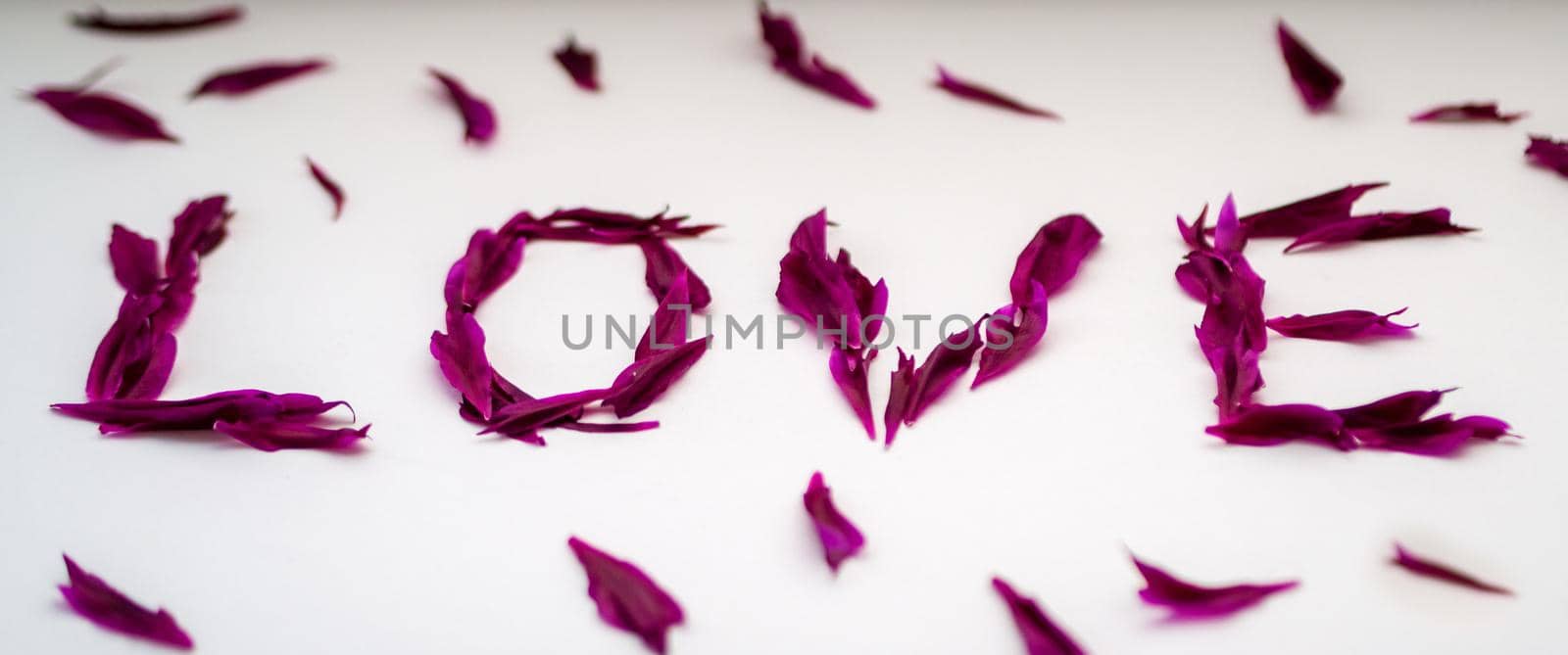 The inscription love with petals of red peonies on a white background. Valentine's day. photo