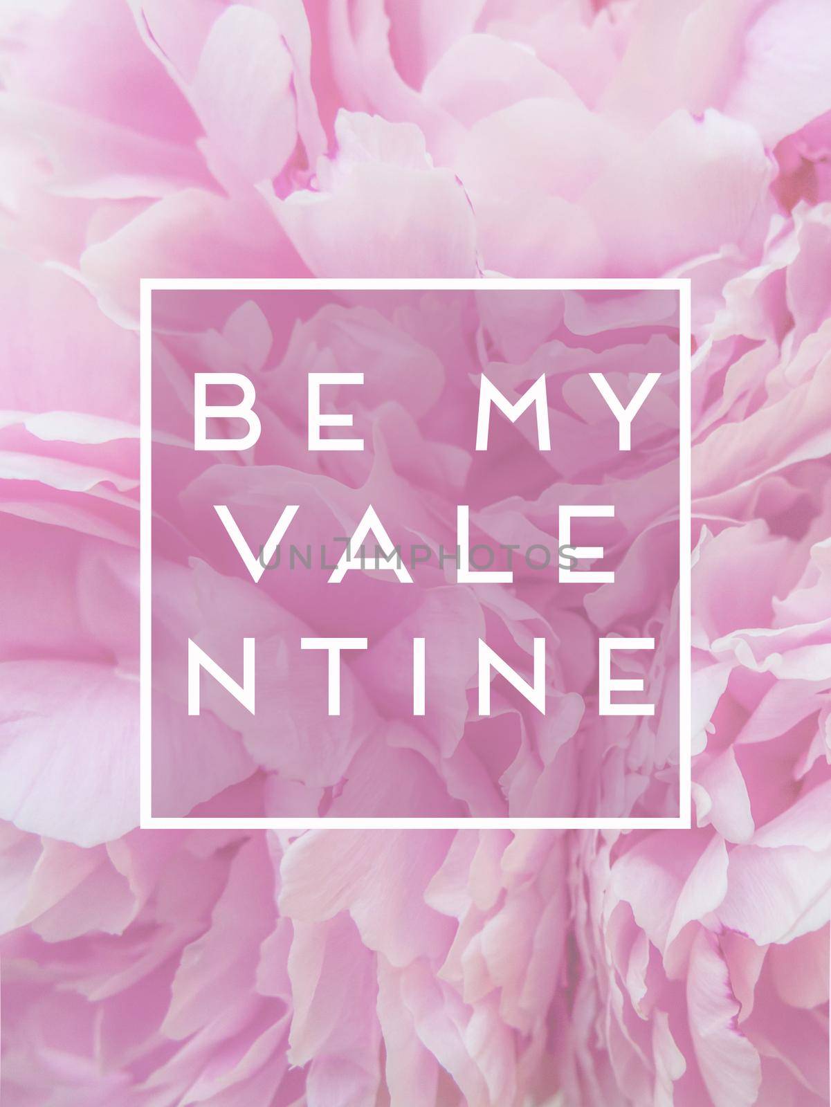 text be my valentine in the frame against the background of pink peonies flowers. postcard.
