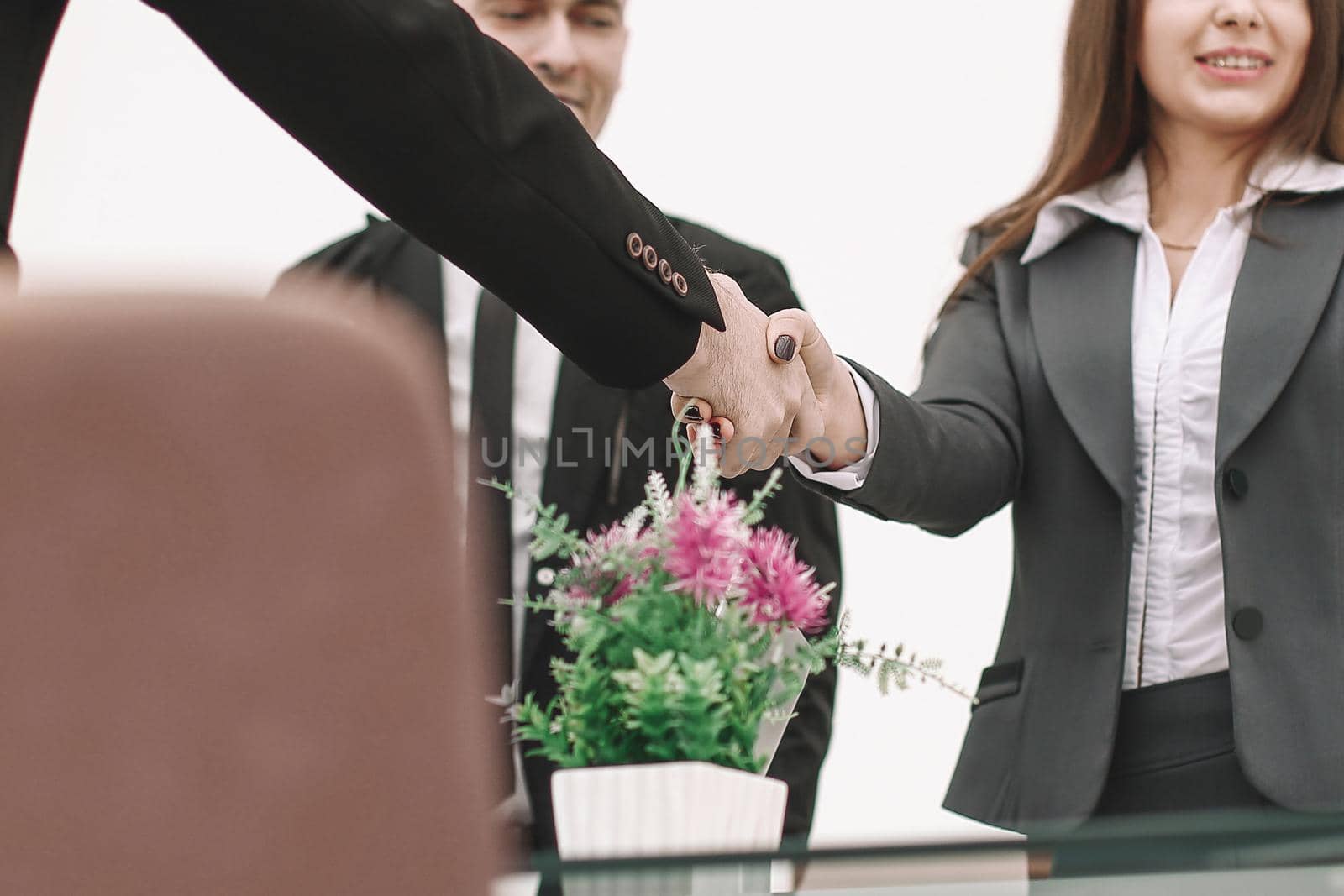 businesswoman handshake with business partner in modern office.