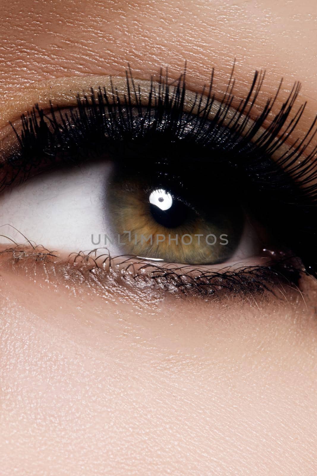 Beautiful macro shot of female eye with extreme long eyelashes and black liner makeup. Perfect shape make-up and long lashes. Cosmetics and make-up. Closeup macro shot of fashion eyes visage