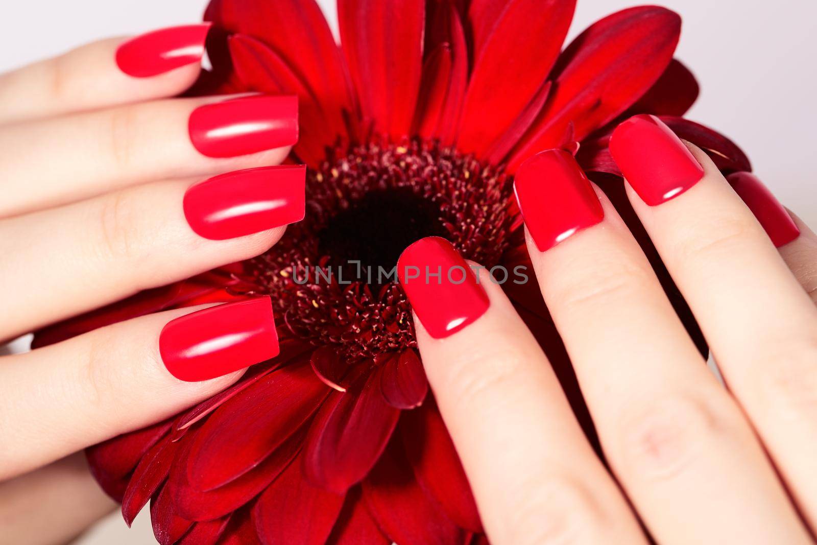 Beauty hands with red fashion manicure and bright flower. Beautiful manicured red polish on nails. Fasionable cosmatics and makeup