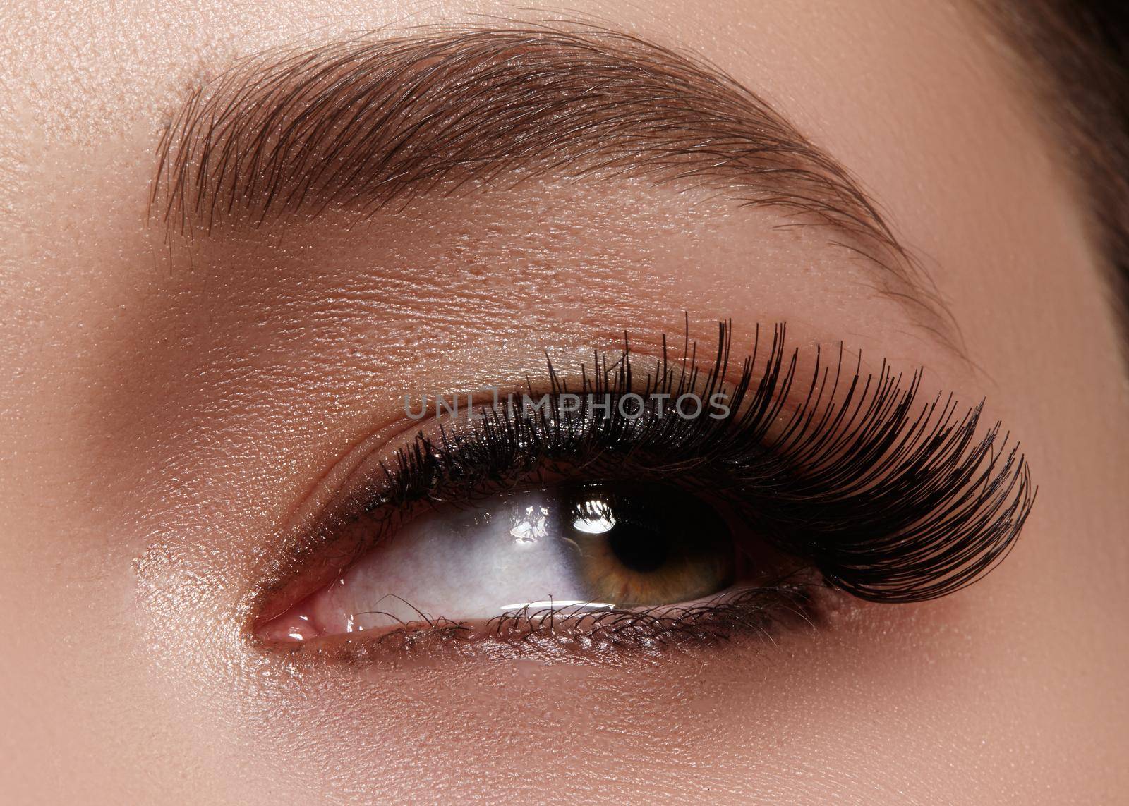 Beautiful macro shot of female eye with extreme long eyelashes and black liner makeup. Perfect shape make-up and long lashes. Cosmetics and make-up. Closeup macro shot of fashion eyes visage