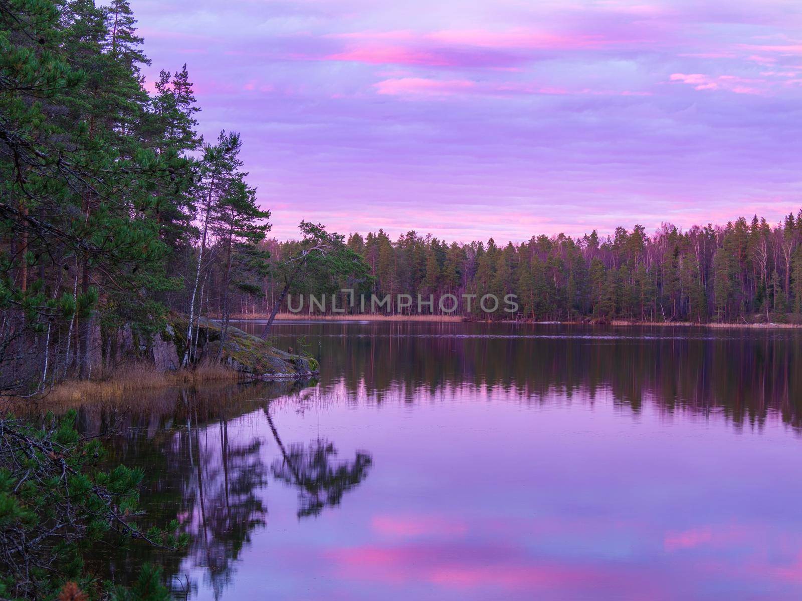 pretty sunrise on the beauty forest lake by Andre1ns