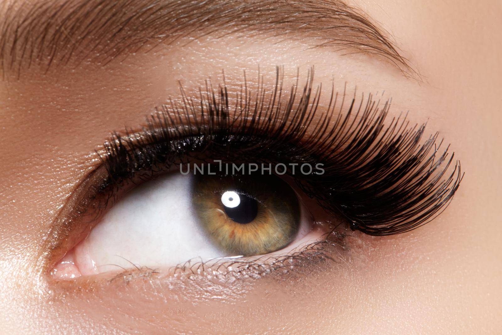 Beautiful macro shot of female eye with extreme long eyelashes and black liner makeup. Perfect shape make-up and long lashes. Cosmetics and make-up. Closeup macro shot of fashion eyes visage