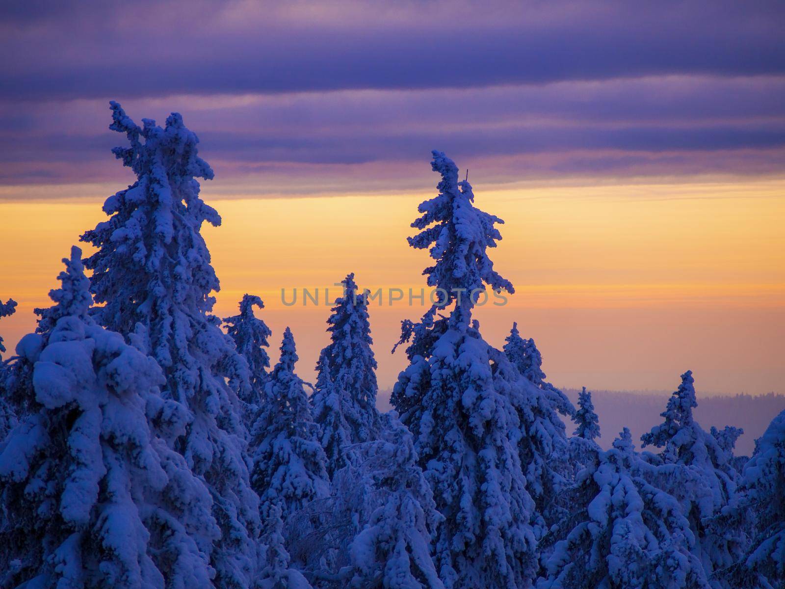 Snow-covered trees in winter at sunset in the foothills of the Ural mountains. by Andre1ns