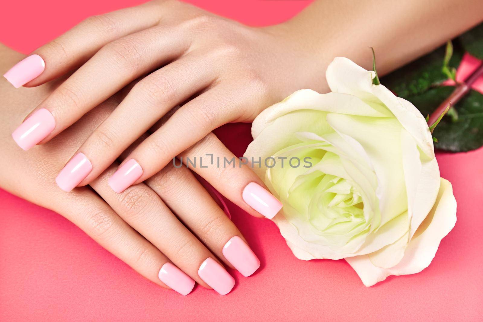 Manicured nails with pink nail polish. Manicure with nailpolish. Fashion art manicure with shiny gel lacquer. Nails salon