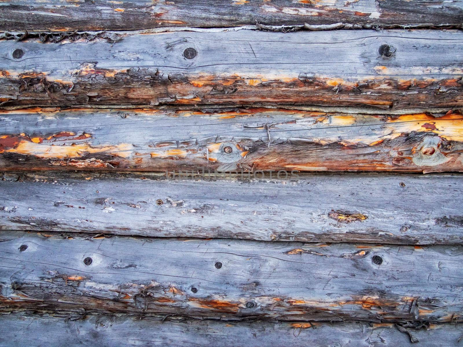 Vintage worn and dirty wood texture painted in blue. by Andre1ns