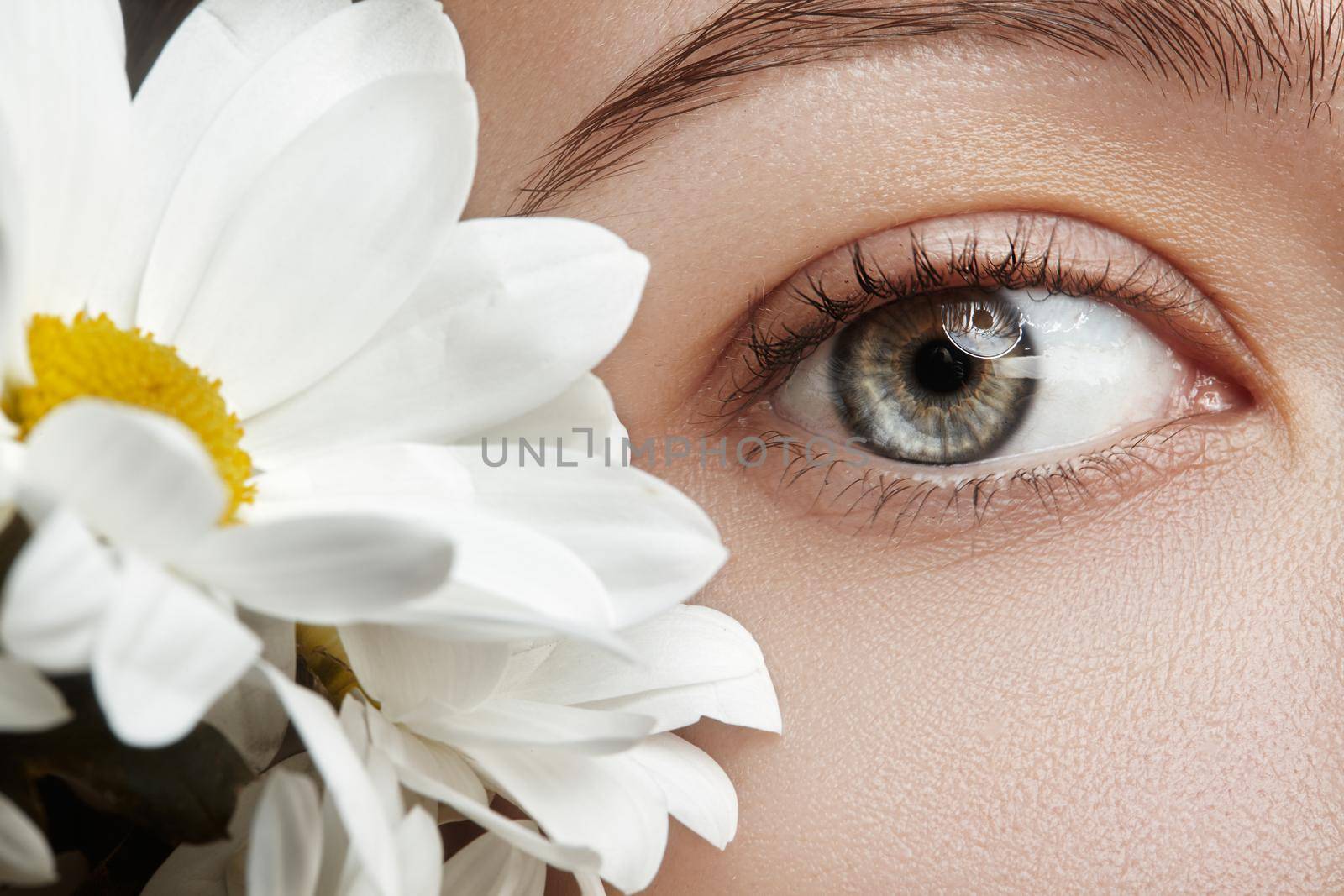 Close-up macro of beautiful female eye with perfect shape eyebrows. Clean skin, fashion naturel make-up. Good vision. Spring natural look with chamomile flowers.