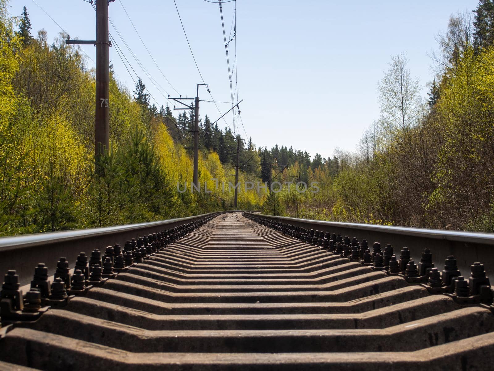 A single track railway in a forest belt. An industrial landscape with a railway. Perspective, the rails rush into the distance towards the horizon. by Andre1ns