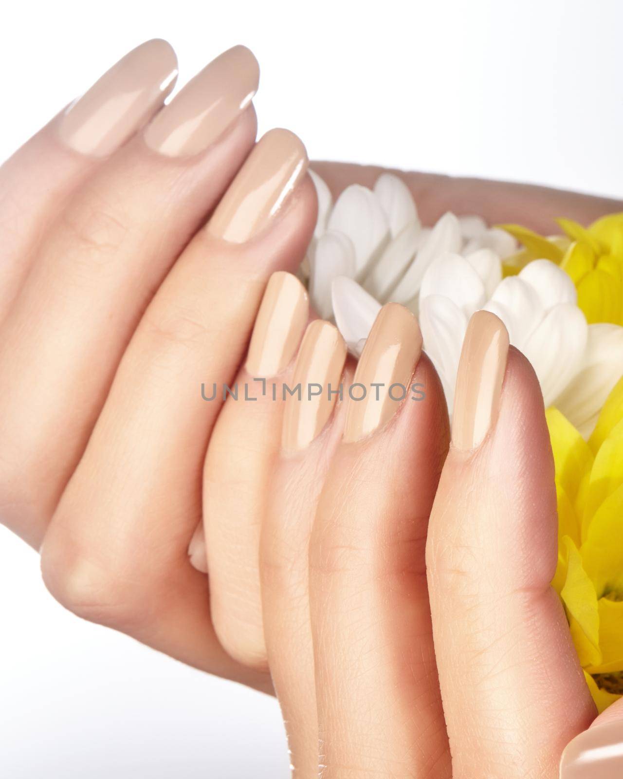 Manicured nails with natural nail polish. Manicure with beige nailpolish. Fashion manicure. Shiny gel lacquer. Spring style