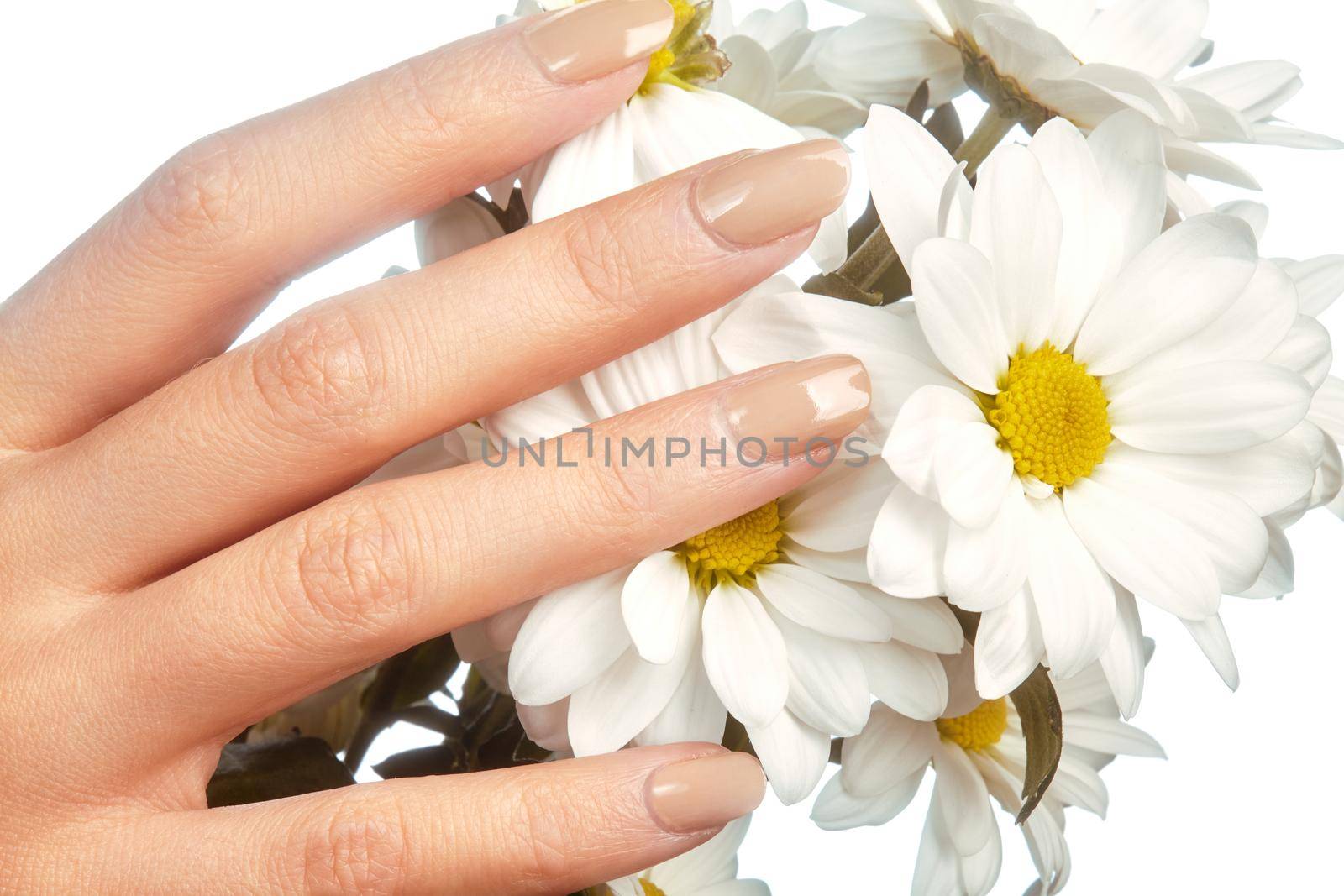Beautiful female fingers with pastel pink manicure touching spring flowers. Care about female hands, healthy soft skin. Spa, cosmetics. Close-up of beautiful fingers with nails polish.