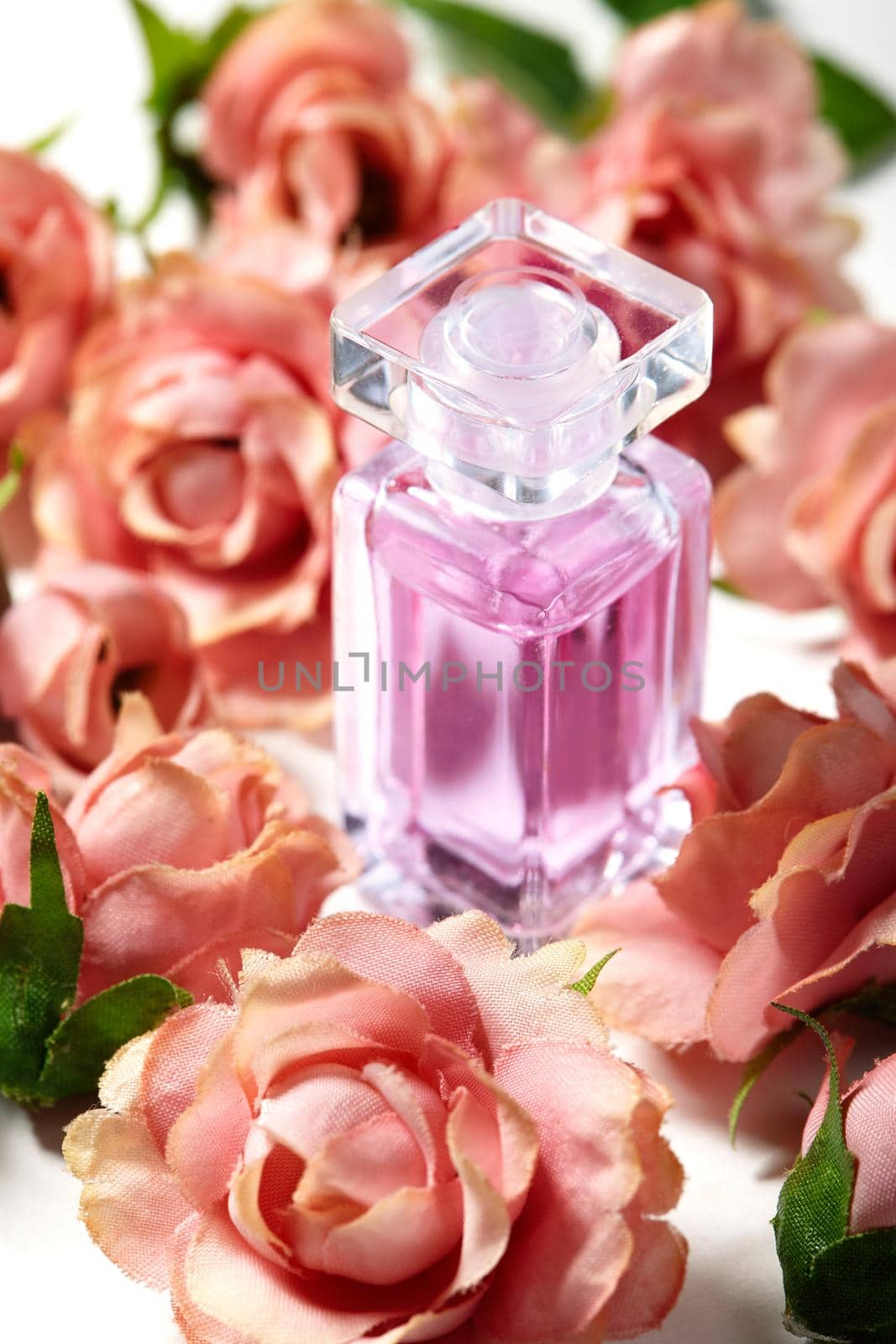 Perfume bottle in pink flower roses. Spring background with luxury aroma parfume. Beauty cosmetic, fresh aromatic